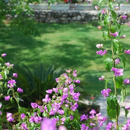 アパート Paunovic マカルスカ