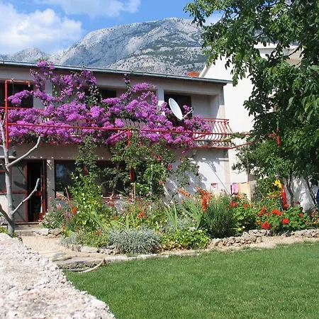 Paunovic * マカルスカ