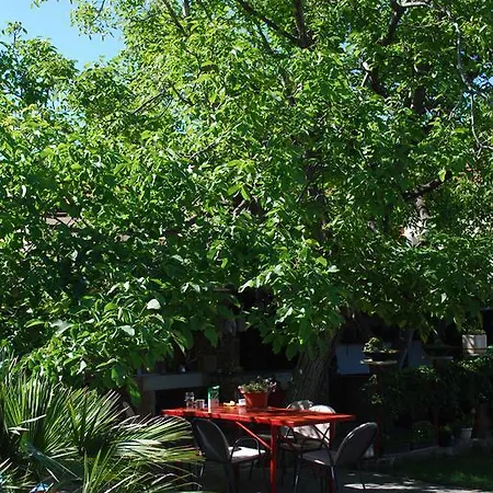 Paunovic マカルスカ