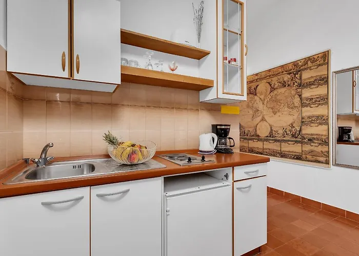 Apartment Paunovic *