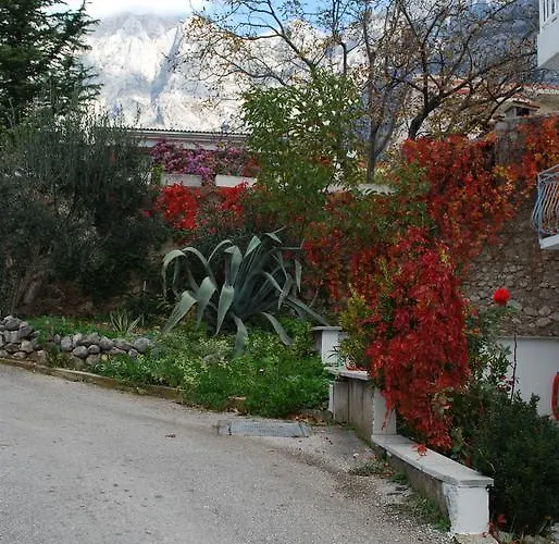 Paunovic Apartment *