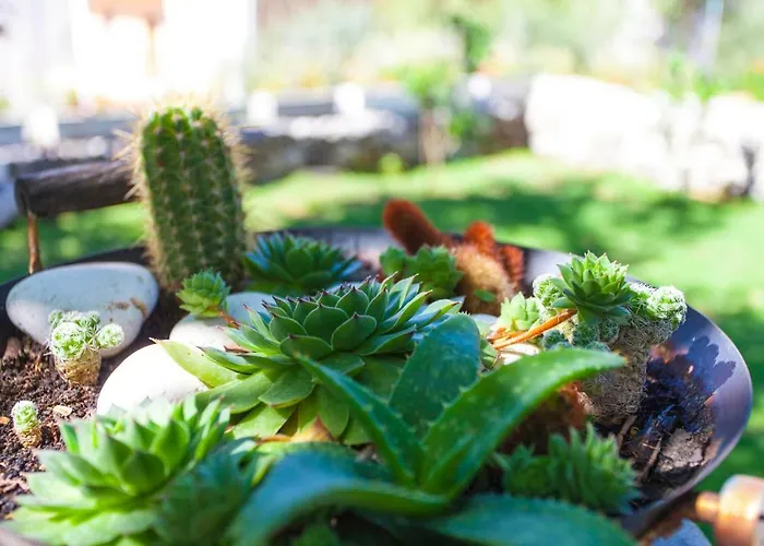 Apartment Paunovic *