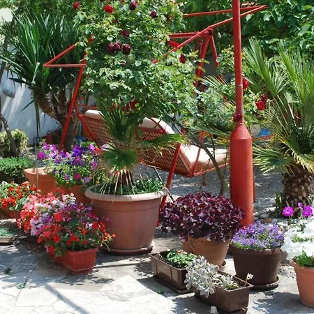 Paunovic Διαμέρισμα Μακάρσκα