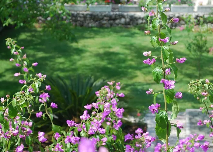 Apartment Paunovic Makarska