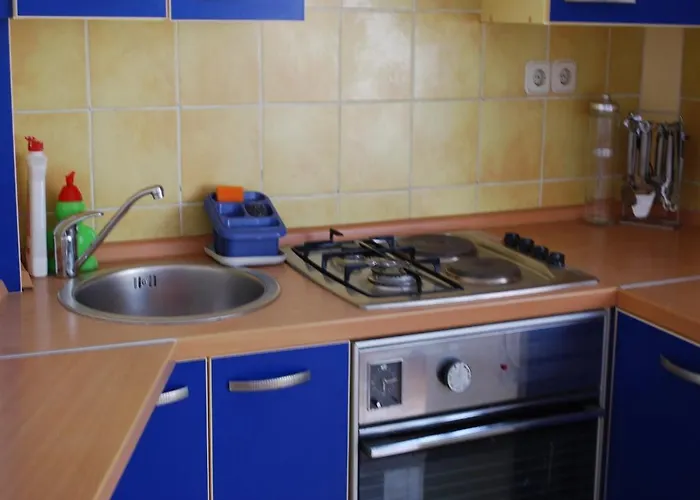 Apartment Paunovic *